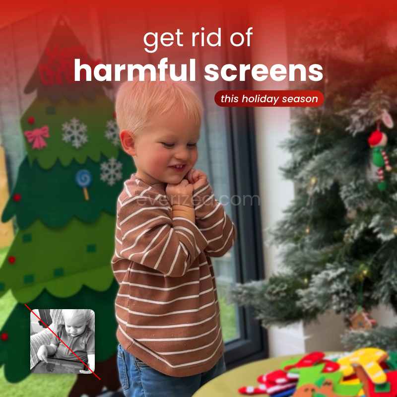 🌲 The Soft Spruce